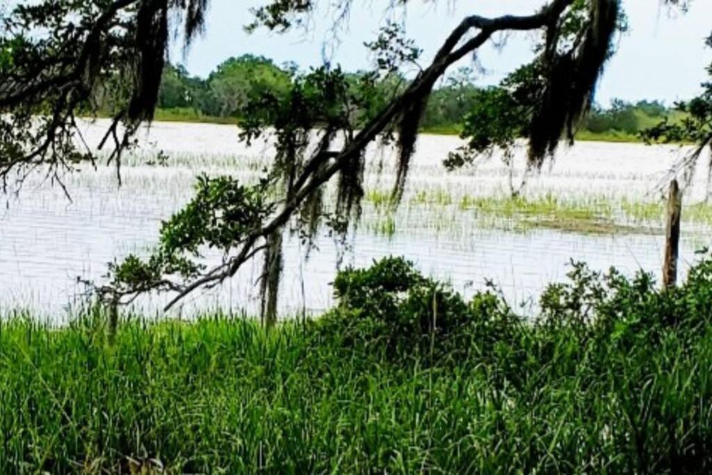 Secluded Tiny House By The Marsh With Hunting Island Beach Pass Frogmore ภายนอก รูปภาพ