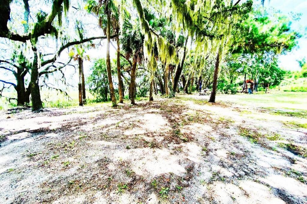Secluded Tiny House By The Marsh With Hunting Island Beach Pass Frogmore ภายนอก รูปภาพ